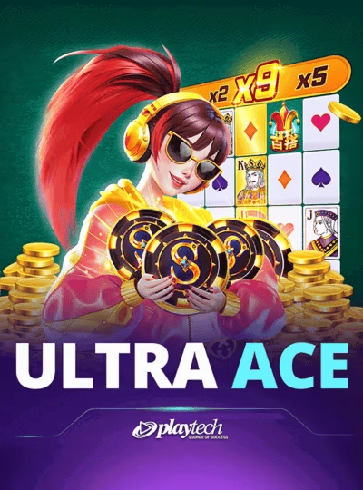 tbd333